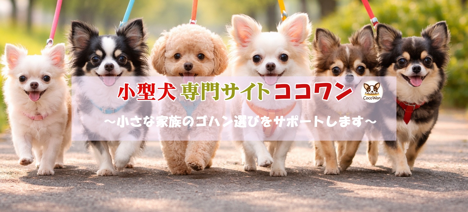 小型犬専門サイト｜ココワン